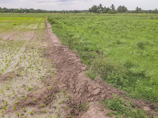 AIADMK demands payment of ₹30,000 per acre to all Cauvery delta farmers