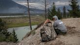 Animals, like those in Jasper, know how to dodge wildfires, say biologists