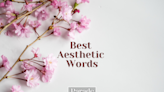 150 ‘Wondrous’ Aesthetic Words To Elevate Your Conversations