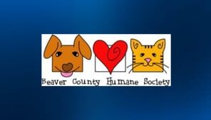 Beaver County Humane Society adoption special extended for another week