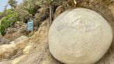 新西蘭海岸的神祕球形巨石吸引眾多遊客