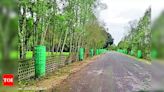 Villagers in Khumtai transform landscape with native trees | Guwahati News - Times of India