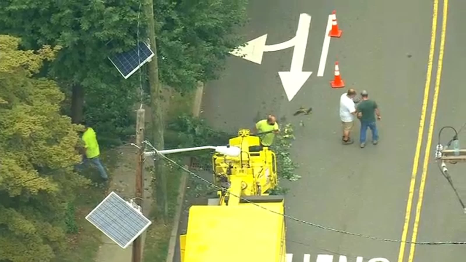3 workers stung by bees while trimming trees in Paramus
