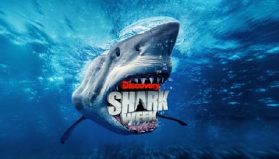 Shark Week Livestream: How to Watch the 36th Annual Shark Week Without Cable