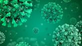 OMS advierte sobre nueva pandemia causada por la “Enfermedad X”