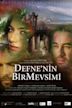 Defne'nin Bir Mevsimi