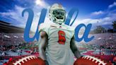 Former Florida A&M standout Cherif Seye lands at UCLA