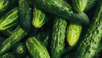 Cucumber Is the Star of the Latest Viral Recipe: Experts Explain Health Benefits of Vegetable