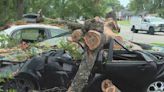 Vehículos destrozados por árboles: el norte de Houston también siente el impacto de las tormentas severas
