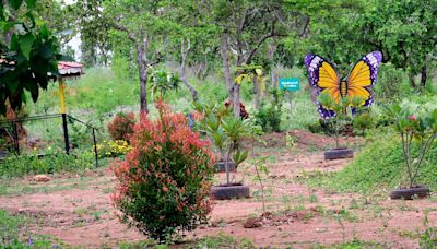 A biodiversity park that remains unopened in Sirumalai