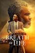 Breath of Life (2023 film)