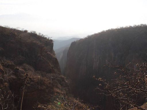 Reserva de la Biosfera Tehuacán cumple seis años como Patrimonio Mundial