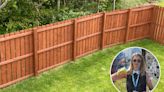 I'm a gardener, I know how to make an ugly fence disappear with an £8 Wickes buy