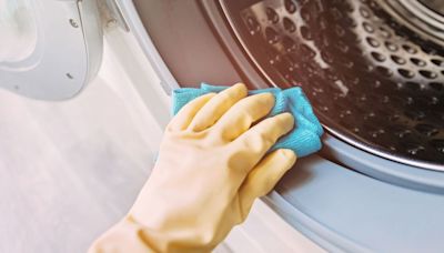 Ditch vinegar as there is a better method to clean washing machine seal mould