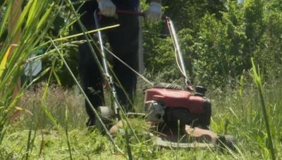 Good Samaritan helps mow tall grass at Flint park