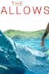 The Shallows (film)