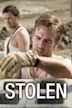 Stolen (2009 American film)