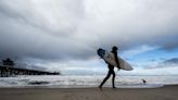 Cerraron una popular playa en California tras el ataque de un tiburón a un surfista