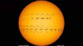 Sunspot numbers hit 20-year high, indicating the sun is fast approaching its explosive peak