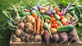 ‘Helpful’ gardening tip lets you clean your vegetables right in the garden