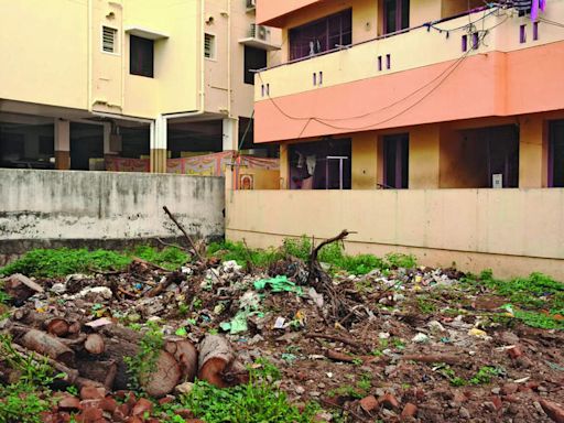 Dengue Fear: HDMC to Clean Vacant Plots and Charge Owners | Hubballi News - Times of India