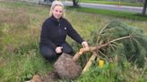 Tallaght community experiences ‘targeted campaign’ of tree vandalism