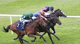 Wayne Bailey: Viking Invasion can see off threat from Dermot Weld’s Truth Be Told in Galway