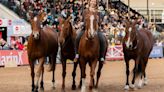 La magia del “Horsemanship” en la Expo Rural 2024