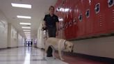 Vape-detecting dogs sniff out nicotine, THC in Lake County schools