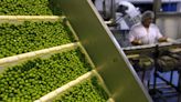 Russia overtakes Canada as top peas exporter to China