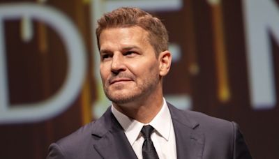 David Boreanaz Teases Plan to Extend His 27-Year Employment Streak After SEAL Team Ends