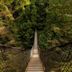 Lynn Canyon Suspension Bridge