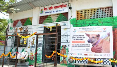 Mira-Bhayandar: MBMC Initiates Sterilization Drive For Stray Cats In Twin-City