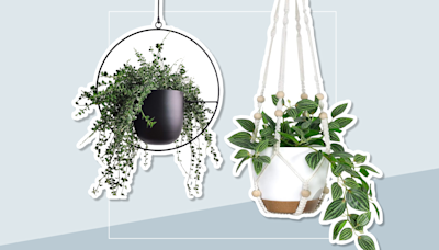 The 19 Best Indoor Hanging Planters to Liven up Your Home