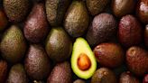 A New Avocado Variety Could Be the Fruit of the Future