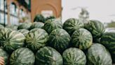In dieser italienischen Stadt sind Melonen verboten