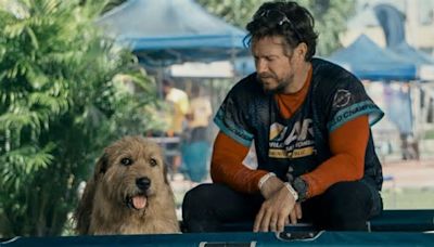 Mark Wahlberg und ein Hund im Dschungel: Die wahre Geschichte hinter "Arthur der Große"