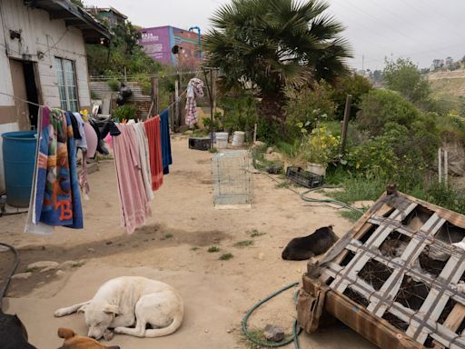 Tijuana no puede seguir aplazando su problema con el agua