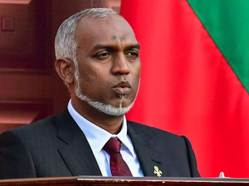 Black magic performed over Maldives President? Bizarre incident sees arrest of two ministers | - Times of India