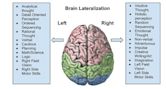 Split-brain