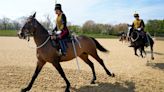 Military horses bolt through London in scene reminiscent of runaway stampede in April