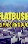 Flatbush (TV series)