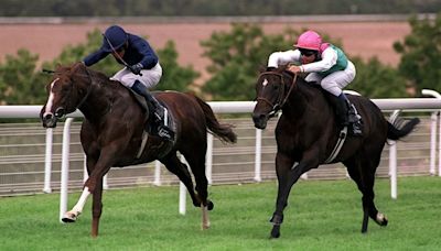 Giant's Causeway: a champion who was so good, resilient and well-loved he earned his own nickname