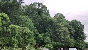 Pittsburgh Zoo & Aquarium assessing damage after EF-1 tornado touched down in Highland Park