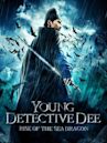 Young Detective Dee: Il risveglio del drago marino