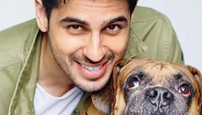 Sidharth Malhotra celebrates Animal Welfare Day