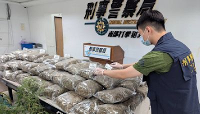 彰化有機農場變毒窩！「扦插法」種大麻 查扣市價6千萬成品