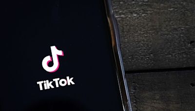 A TikTok Ban May Not Be Inevitable After All