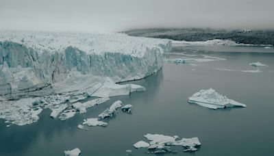 Climate change impact: Antarctica is fast turning green due to extreme heat waves; here’s why it’s not a good thing | Mint