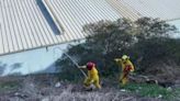 ¡Doble rescate! Bomberos en Tijuana rescatan a dos perritos en dos puntos de la ciudad